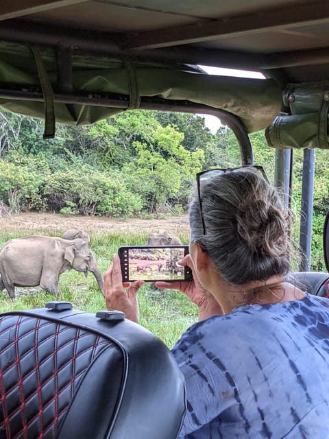From Ella: Yala Safari & Transfer to Tangalle/Mirissa/Galle - Mirissa, Galle, and Unawatuna: what you are really booking