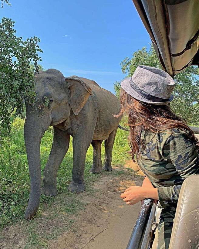 From Ella: Yala Safari with Tangalle/Mirissa/Galle Drop-off - The early pickup from Ella