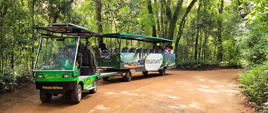 From Foz do Iguazu: Brazil Iguazu Falls & Macuco Safari Boat - Should you book the Brazilian Iguazu Falls and Macuco Safari?