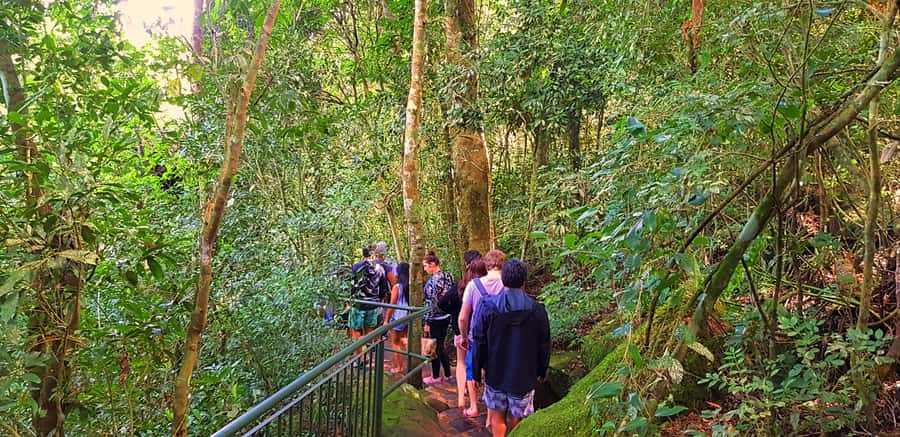 From Foz do Iguazu: Brazil Iguazu Falls & Macuco Safari Boat - Who should book this experience?