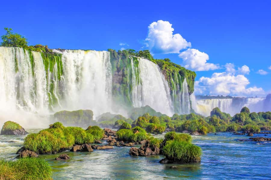 From Foz do Iguazu: Brazil Iguazu Falls & Macuco Safari Boat - Hotel pickup and the ride into the park