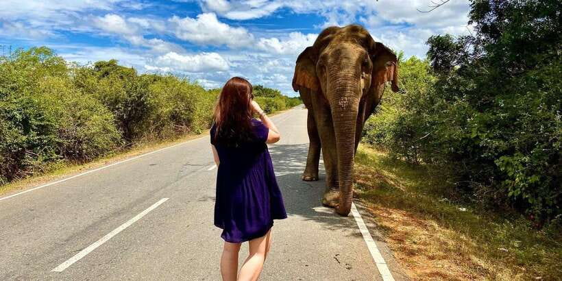 From Galle/Hikkaduwa/Mirissa Trip to Udawalawe Safari Tour - Should you book the Udawalawe day trip?