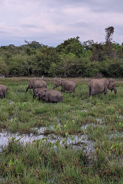 From Galle/ Mirissa/ Tangalle : Udawalawa Safari & Drop Ella - The reservoir stop and the road toward Ella