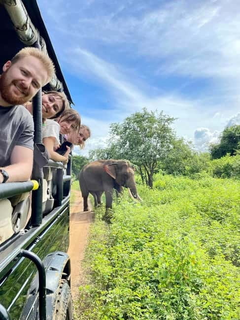 From Galle/ Mirissa/ Tangalle : Udawalawa Safari & Drop Ella - Three hours inside Udawalawe National Park