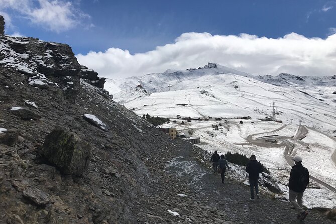 From Granada: Sierra Nevada Safari tour up to 2500 meters high - The national park’s plants, animals, and geology