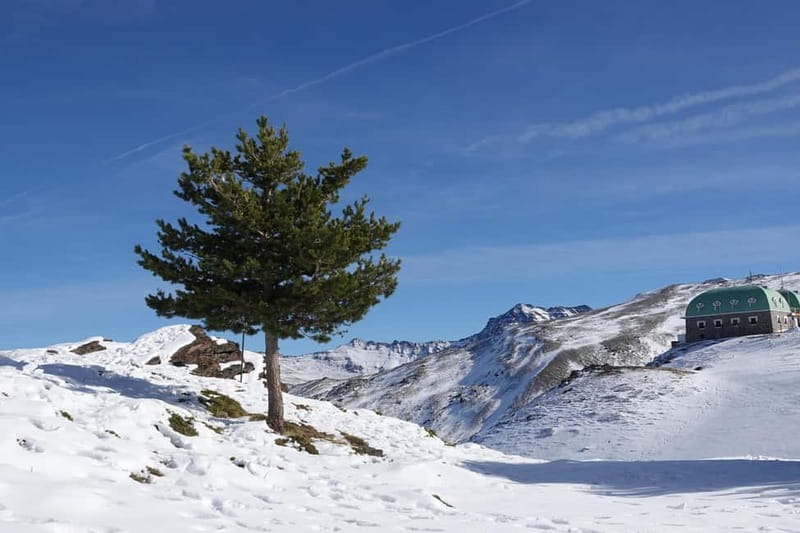 From Granada: Sierra Nevada Safari up to 2500 meters high - Who will enjoy this tour most?