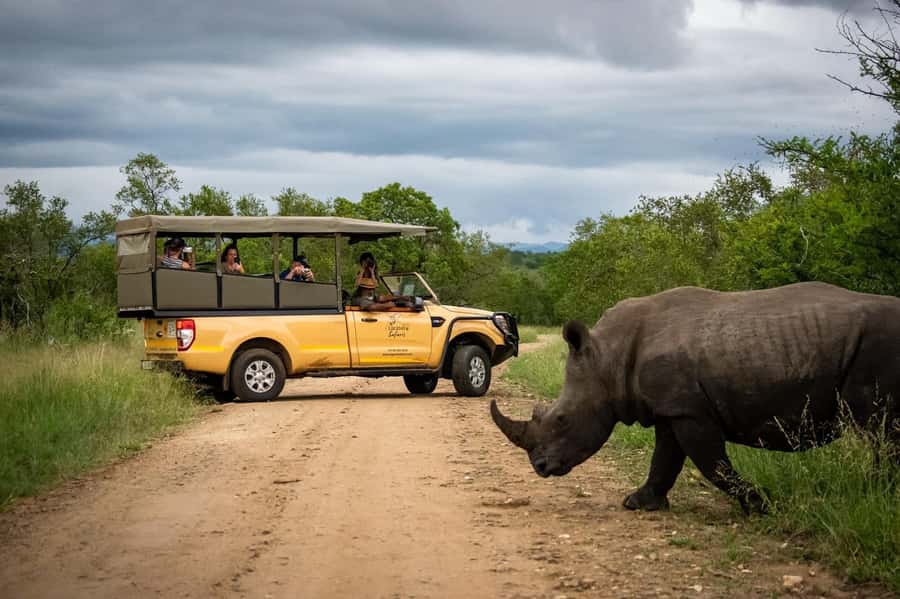 From Hazyview: Kruger National Park Full-Day Safari - Before sunrise in Hazyview