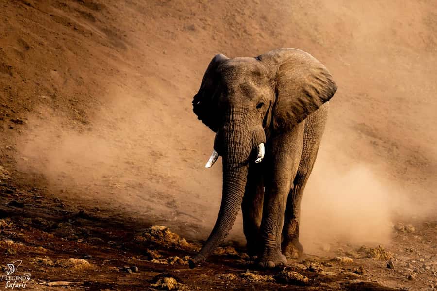 From Hazyview: Kruger National Park Full-Day Safari - Breakfast after the first wildlife run