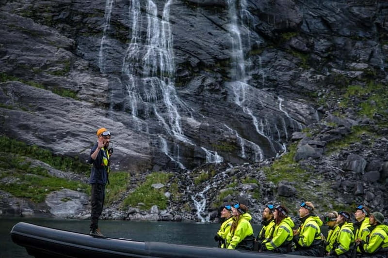 From Hellesylt: Experience Fjordsafari Geirangerfjord on RIB - Skagefla from sea level