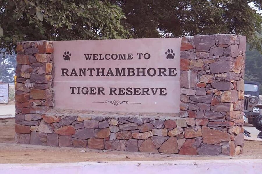 From Jaipur: Praivte Ranthambore Tour By Jeep Canter Safari - Why Ranthambore is worth the long road from Jaipur