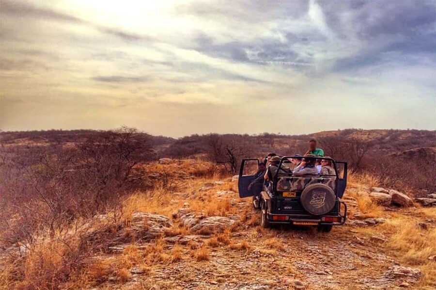 From Jaipur: Praivte Ranthambore Tour By Jeep Canter Safari - The morning pickup and three-hour drive