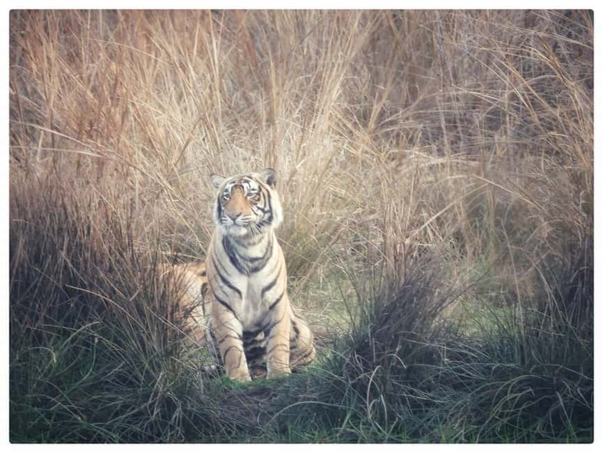 From Jaipur: Ranthambore National Park Day Trip with Safari - The road from Jaipur to Sawai Madhopur