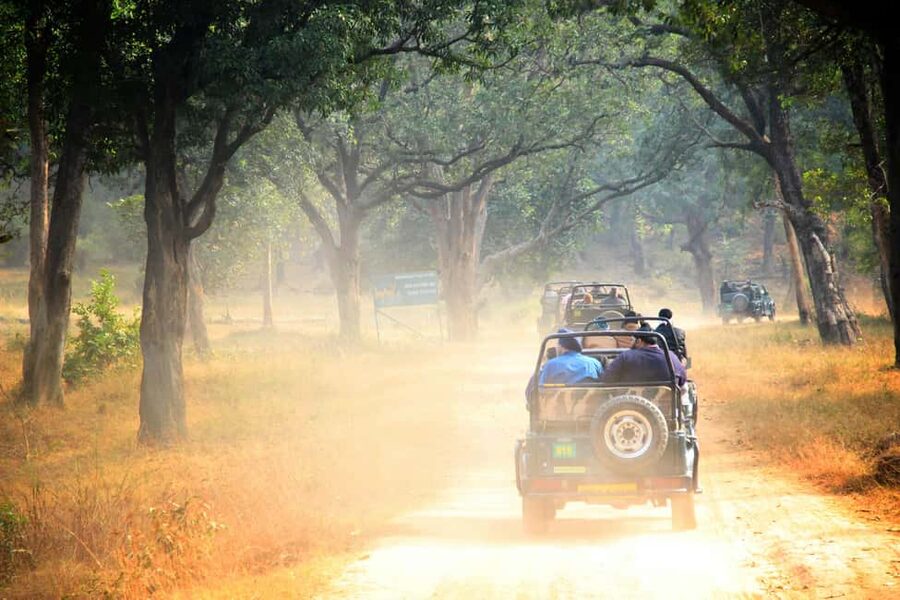 From Jaipur: Ranthambore National Park Day Trip with Safari - Three hours among tigers, deer, and crocodiles