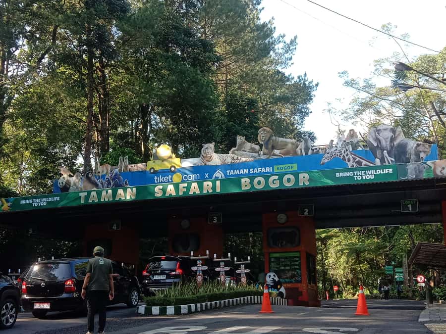 From Jakarta: Private Taman Safari Day Tour - Small details that improve the day