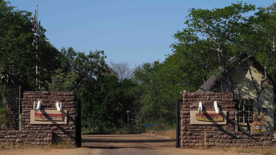 From Johannesburg: 2-Day Safari into Kruger National Park - The afternoon game drive from 1:00 to 4:30 PM