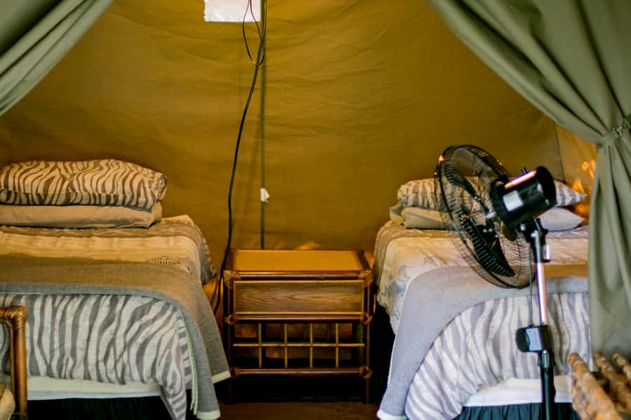 From Johannesburg: 3-Day Budget Tent Kruger Park Safari - Who should book this safari?