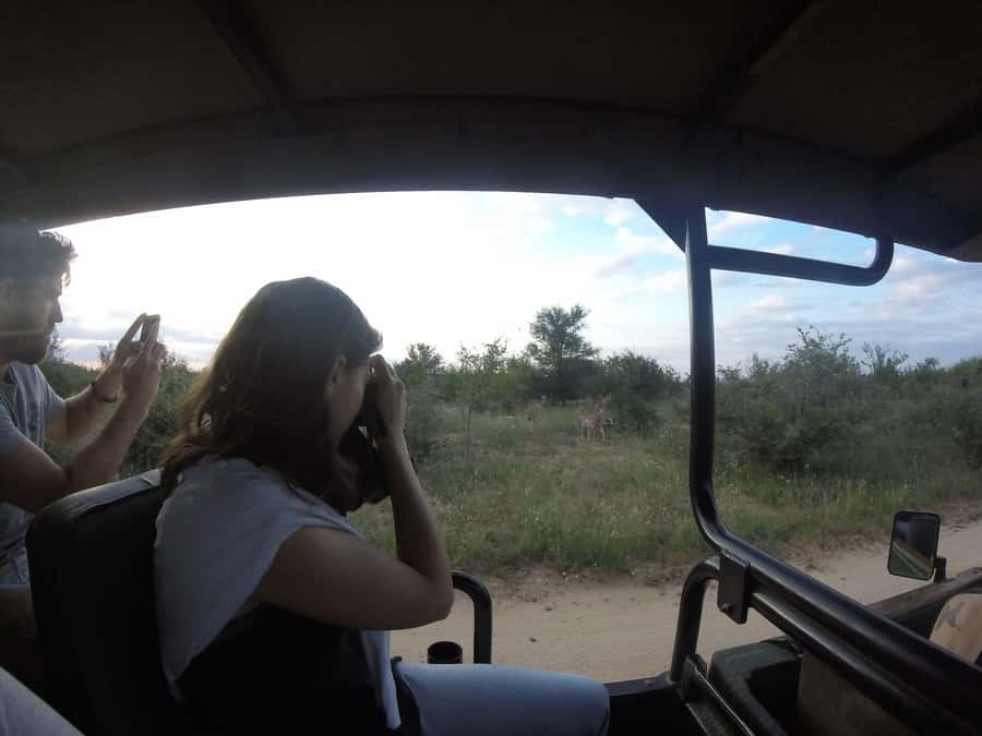From Johannesburg: 3-Day Budget Tent Kruger Park Safari - Why this short safari works