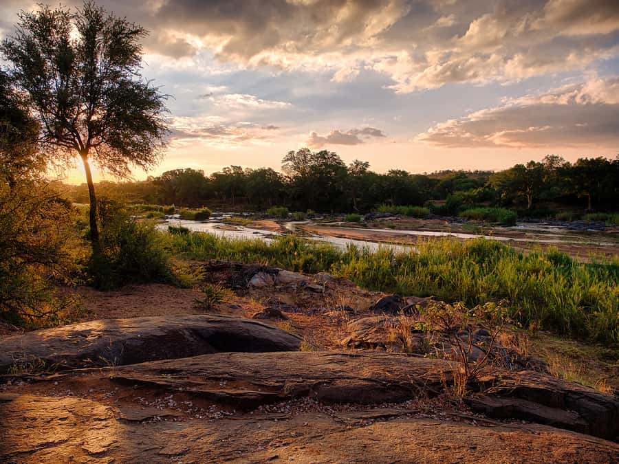 From Johannesburg: 3-Day Budget Tent Kruger Park Safari - The bush BBQ and an unfenced camp