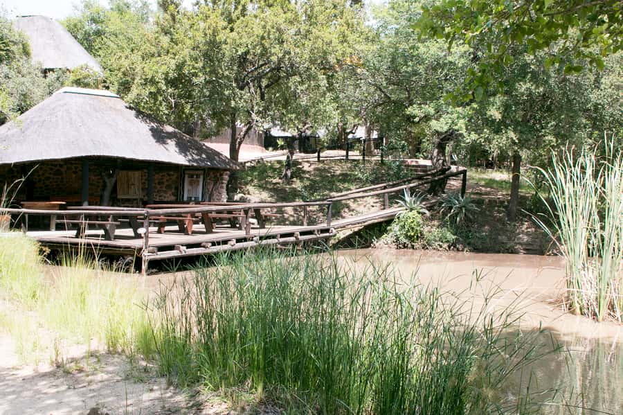 From Johannesburg: 3-Day Budget Tent Kruger Park Safari - Marc’s Camp and the morning walk