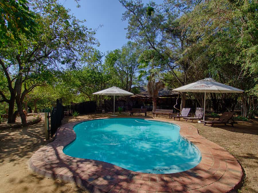 From Johannesburg: 3-Day Budget Tent Kruger Park Safari - Comfort, safety, and the solo experience