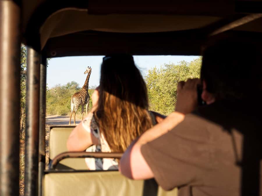 From Johannesburg: 3-Day Budget Tent Kruger Park Safari - Day one: Johannesburg to Tremisana and a Balule sunset