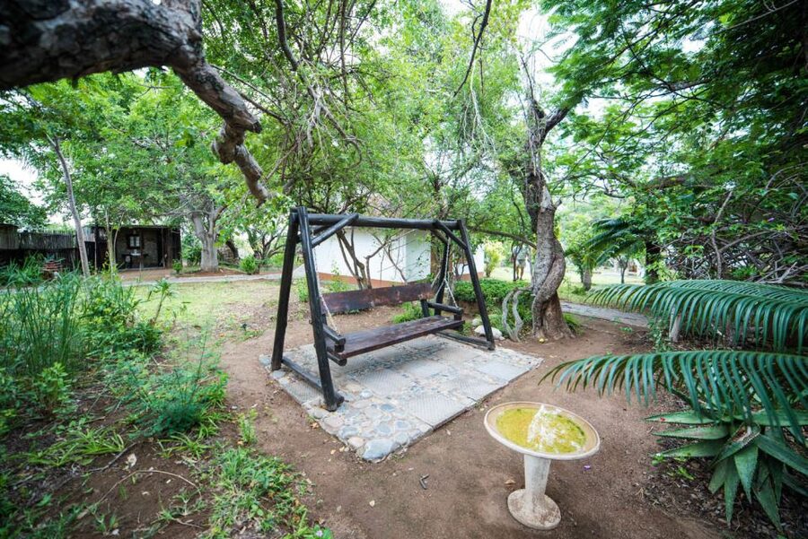 From Johannesburg: 6-Day Classic Kruger National Park Safari - Day 3: Open plains in Kruger National Park