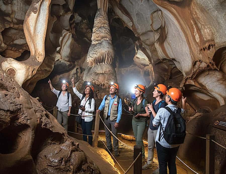 From Johannesburg: Cradle of Humankind and Lion Safari - Key points to know before booking