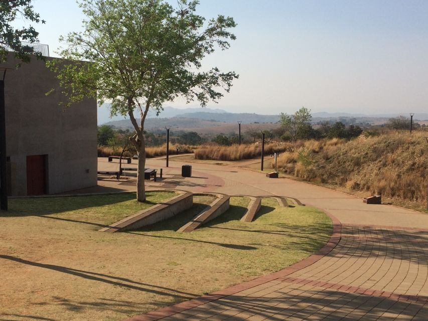 From Johannesburg: Cradle of Humankind and Lion Safari - Practical tips for a better day