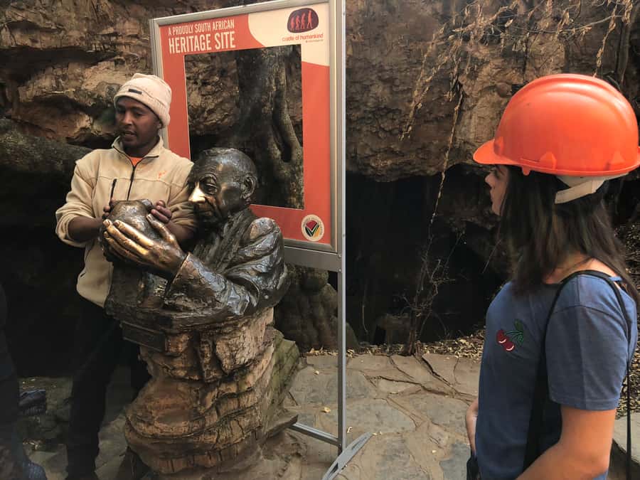 From Johannesburg: Cradle of Humankind and Lion Safari - Lion and Safari Park: close animal encounters first