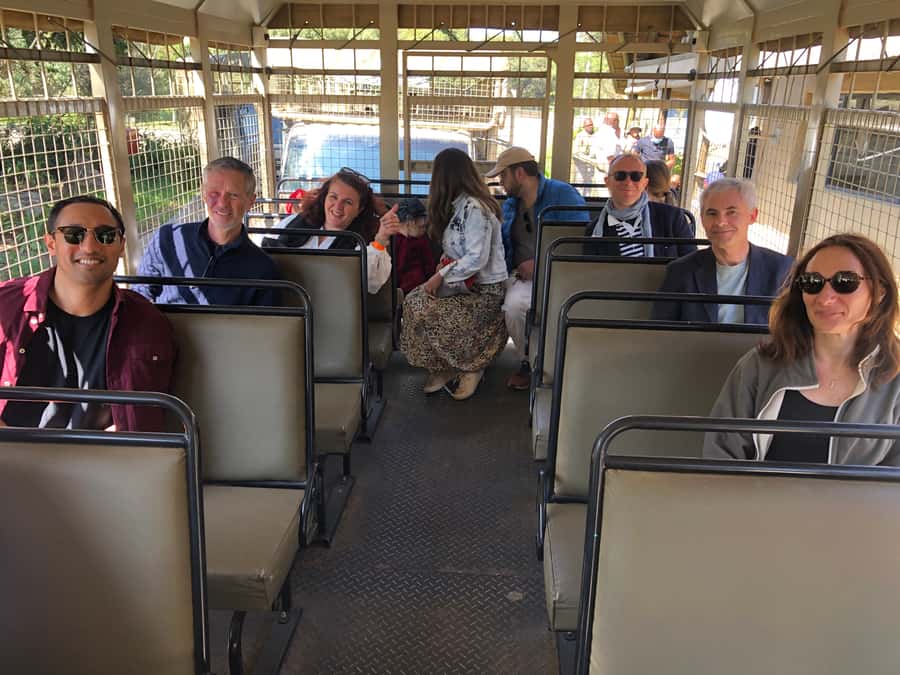 From Johannesburg: Cradle of Humankind and Lion Safari - The guide can shape the whole experience