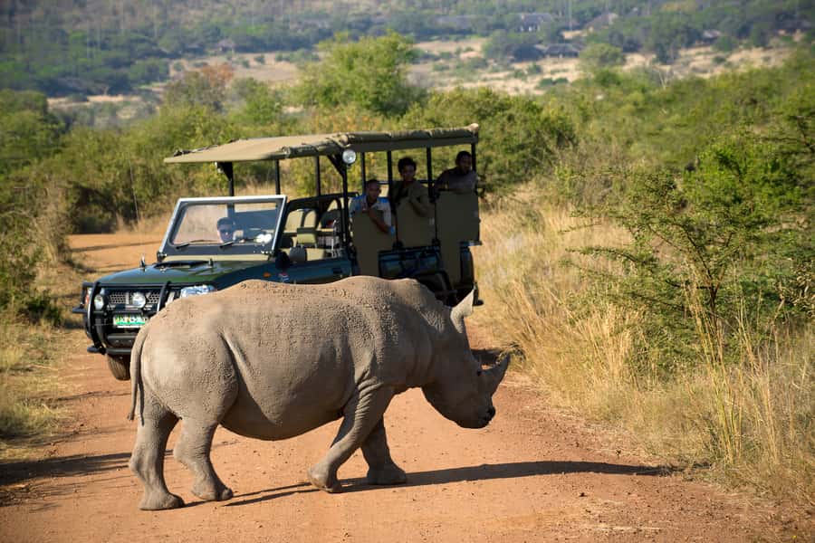 From Johannesburg: Pilanesberg Nature Reserve Game Safari - Why Pilanesberg Works as a Johannesburg Day Trip