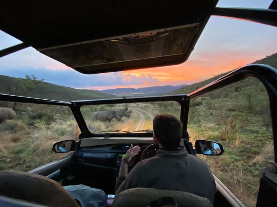 From Johannesburg: Pilanesberg Nature Reserve Game Safari - Morning Game Drive: The Best Time for Animal Searching