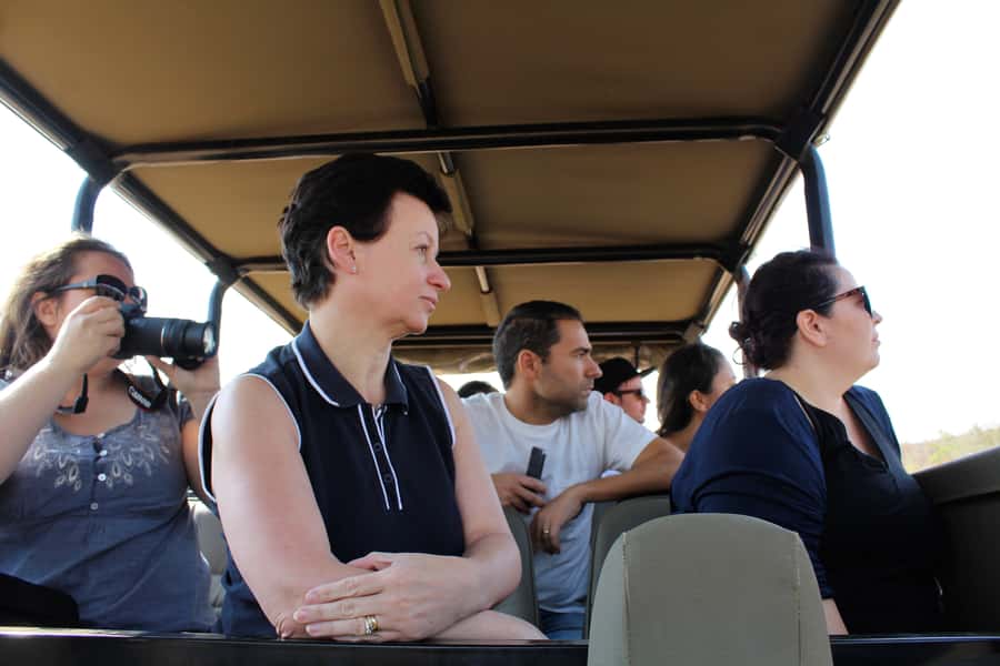 From Johannesburg: Pilanesberg Nature Reserve Game Safari - Afternoon Game Drive: Different Light, Different Chances