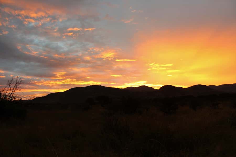 From Johannesburg: Pilanesberg Nature Reserve Game Safari - Price, Park Fees, and Overall Value