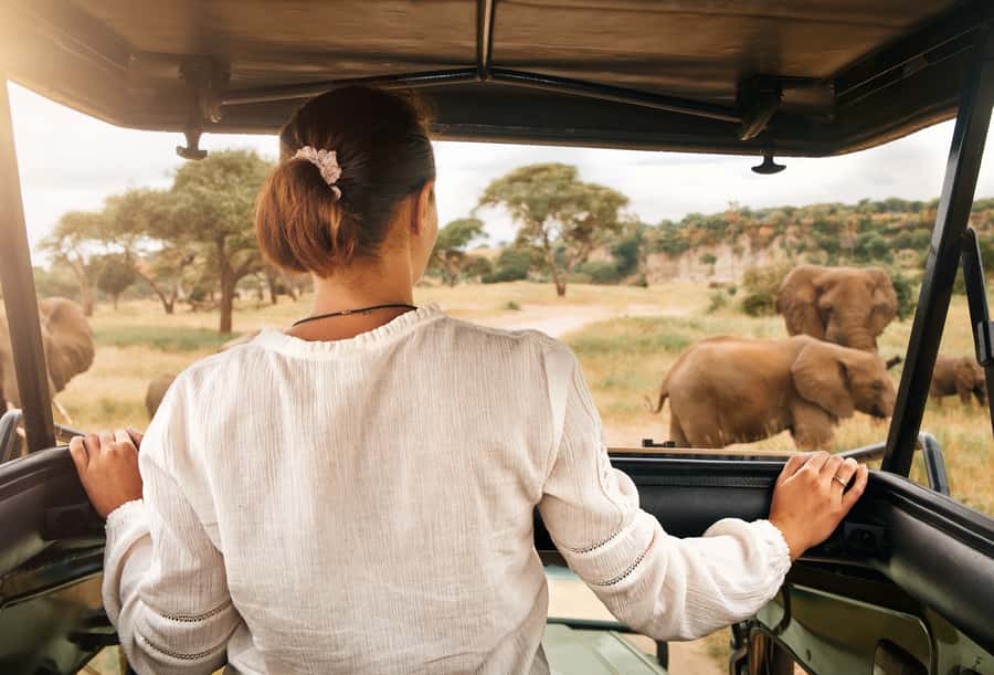 From Johannesburg: Pilanesberg Wildlife Safari - Is $263 a fair price?