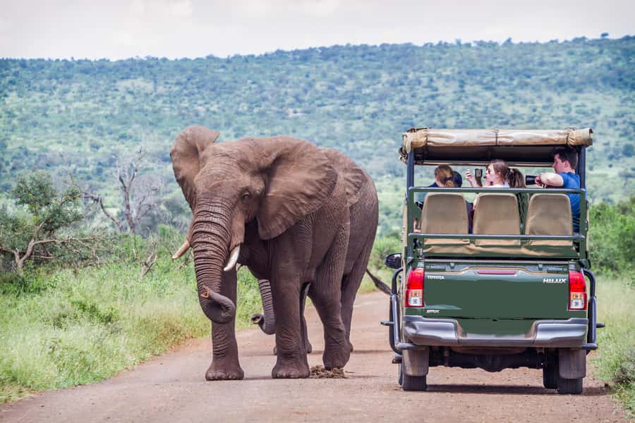 From Johannesburg: Pilanesberg Wildlife Safari - Why Pilanesberg makes sense from Johannesburg