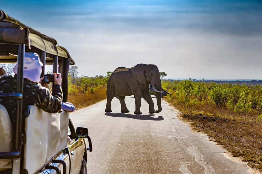 From Johannesburg: Pilanesberg Wildlife Safari - Entering the reserve and changing vehicles