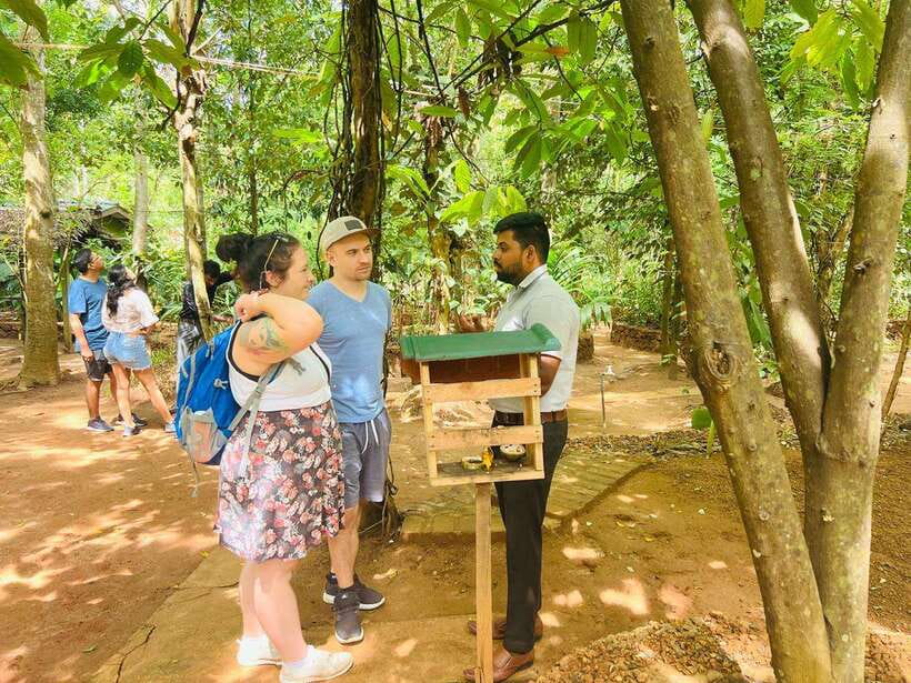From Kandy: Sigiriya Day Tour with Elephant Safari(group) - The early start from Kandy