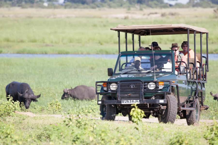 From Kasane: Chobe National Park Full Day Wildlife Safari - Practical advice for a smoother day