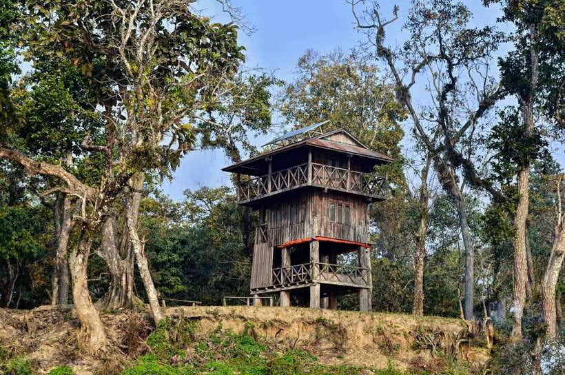 From Kathmandu/Pokhara: 2, 3, or 4-Day Chitwan Jungle Safari - Key Points to Know Before You Go