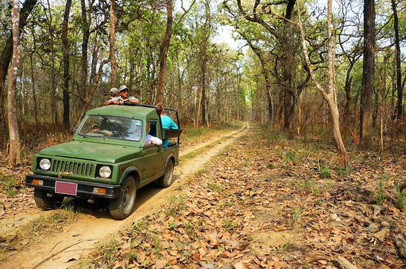 From Kathmandu/Pokhara: 2, 3, or 4-Day Chitwan Jungle Safari - Day Two: Jeep Safari and Conservation Centers