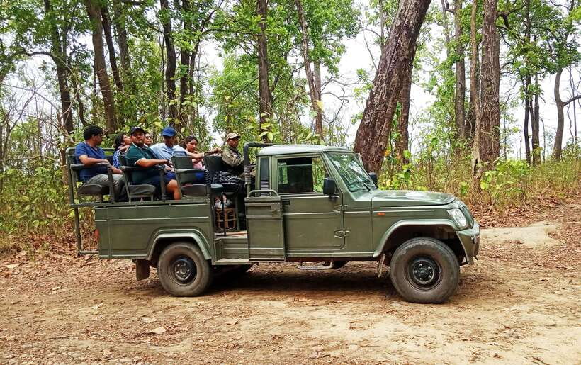 From Kathmandu/Pokhara: 2, 3, or 4-Day Chitwan Jungle Safari - What to Pack for Chitwan