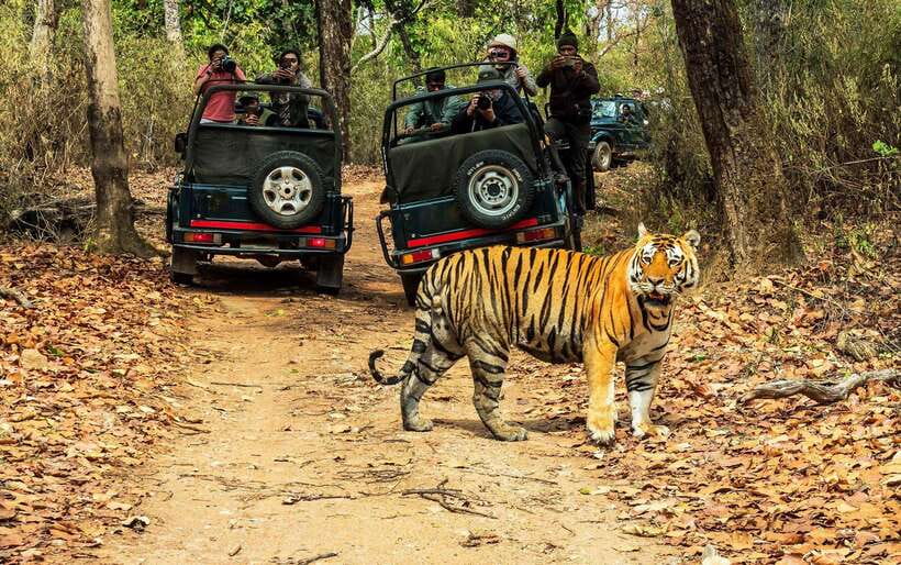 From Kathmandu/Pokhara: 2, 3, or 4-Day Chitwan Jungle Safari - Day One: Tharu Villages, Sunset, and Your First Taste of Chitwan