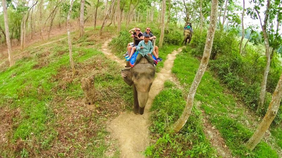 From Kathmandu/Pokhara: 3-Day All-Inclusive Chitwan Safari - Why Chitwan makes a good break from the mountains