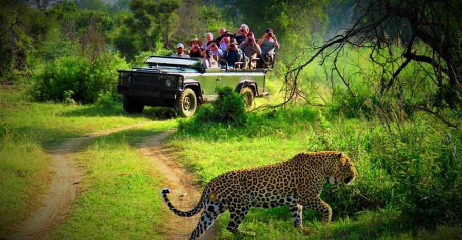 From Kathmandu/Pokhara: Private 3-Day Chitwan Safari Tour - Key points to know before booking