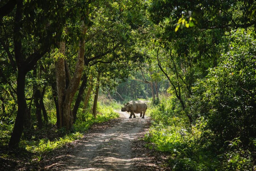 From Kathmandu/Pokhara: Private 3-Day Chitwan Safari Tour - Why Chitwan makes a good break from Kathmandu or Pokhara