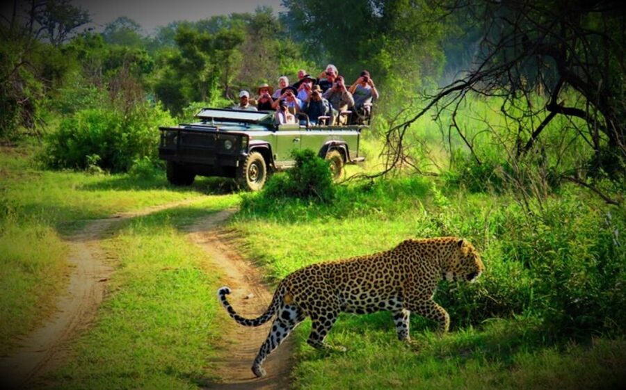 From Kathmandu/Pokhara: Private 3-Day Chitwan Safari Tour - Day 1: From your hotel to Tharu culture
