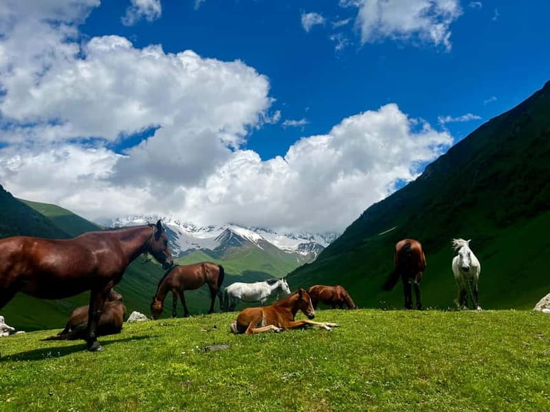 From Kutaisi: Svaneti Mountain Villages 2-Day 4x4 Safari - The three-day choice gives Svaneti room to breathe