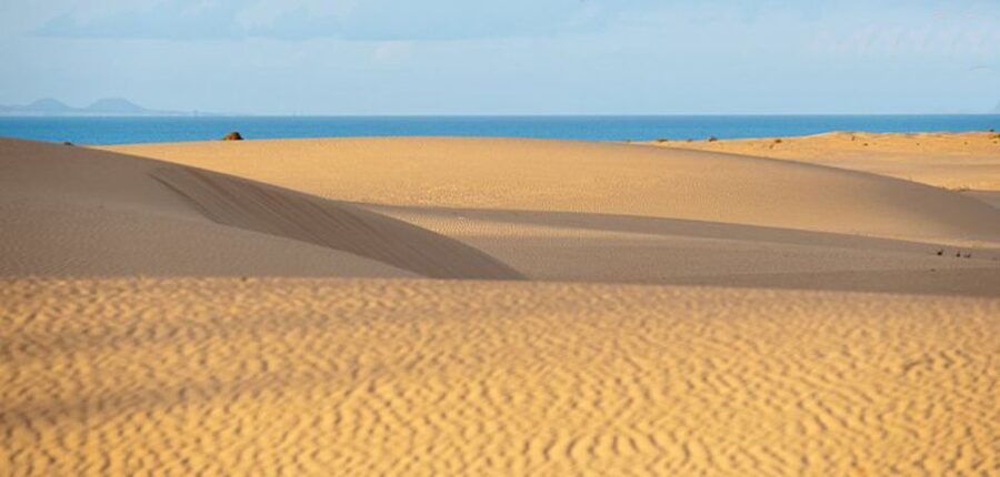 From Lanzarote: Corralejo Buggy Safari - Starting at Playa Blanca harbour
