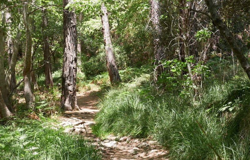 From Limassol: Grand Tour Jeep Safari - Key points at a glance